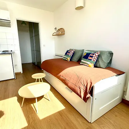Apartment Charming Bright Sunny In Belleville